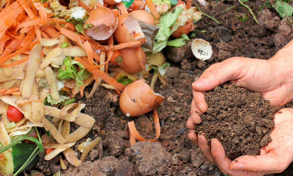 Maryland Composting