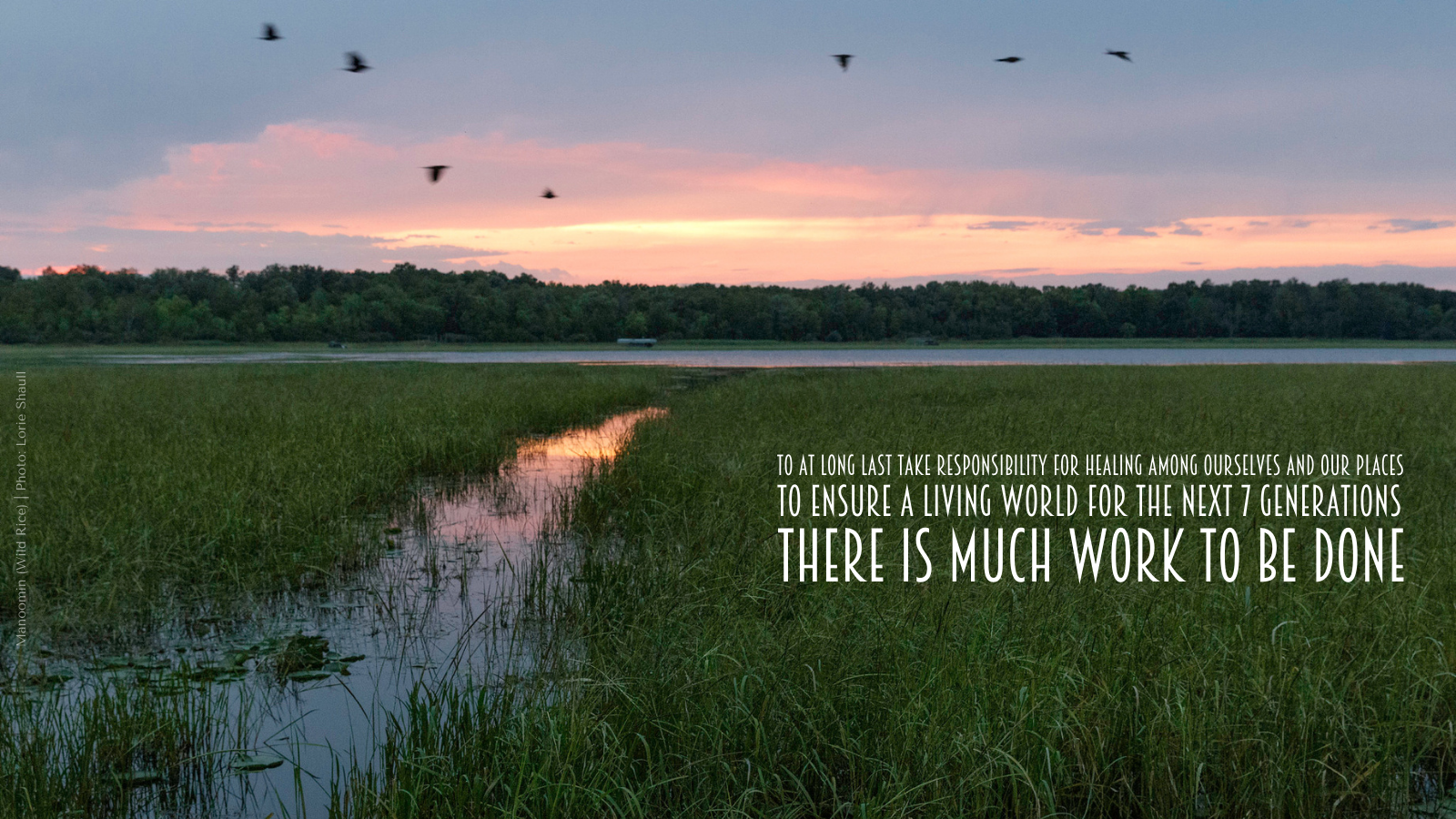 To at long last take responsibility for healing among ourselves and our places  to ensure a living world for the next 7 Generations there is much work to be done 