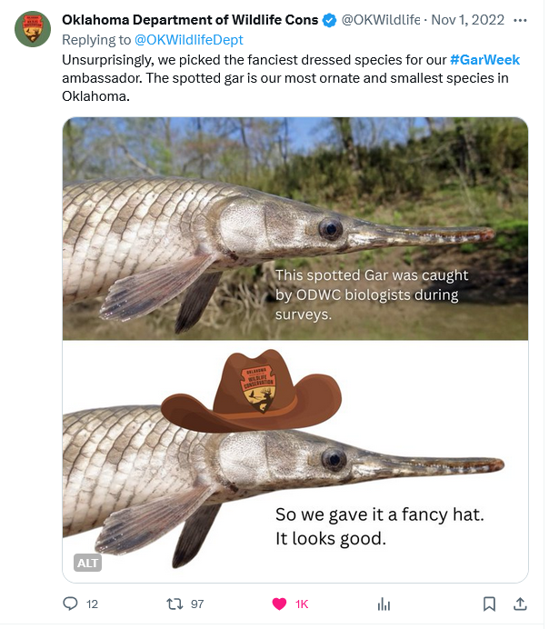 Tweet from @OKWildlifeDept with a spotted gar in a fancy cowboy hat