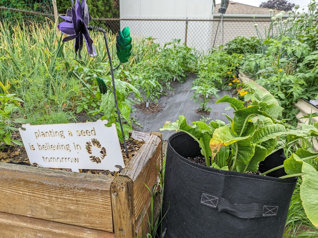 Backyard garden with decorative sign "Planting A Seed Is Believing In Tomorrow"