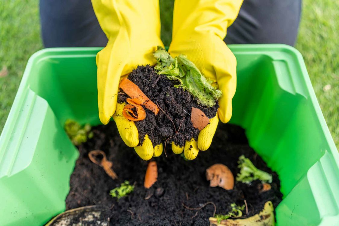 Image of composting food waste. Source: GBJSTOCK, shutterstock.com