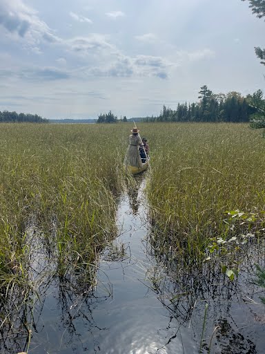 The author and her daughter in a canoe harvesting manoomin (wild rice)