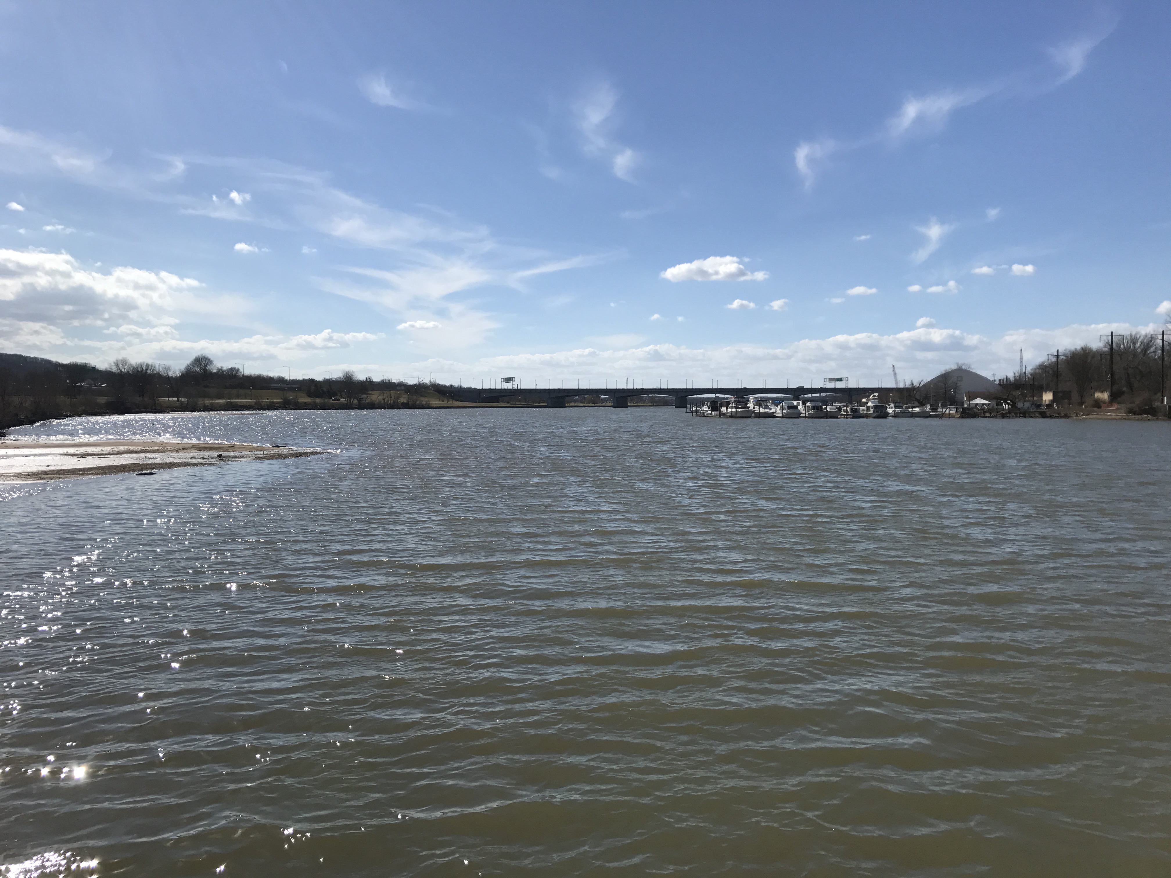 A view of the Anacostia River with Anacostia Park on the left and Seafarer's Yacht Club on the right