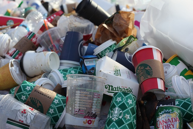 discarded coffee cups in trash