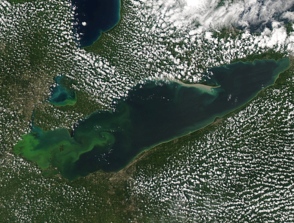 Lake Erie Algal Bloom - August 2015. Photo Credit: NOAA Great Lakes CoastWatch