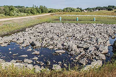 riparian buffer at kempenaar_green infrastructure_rhode island_Photo by Jessica Pohl