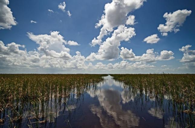 Image of wetlands