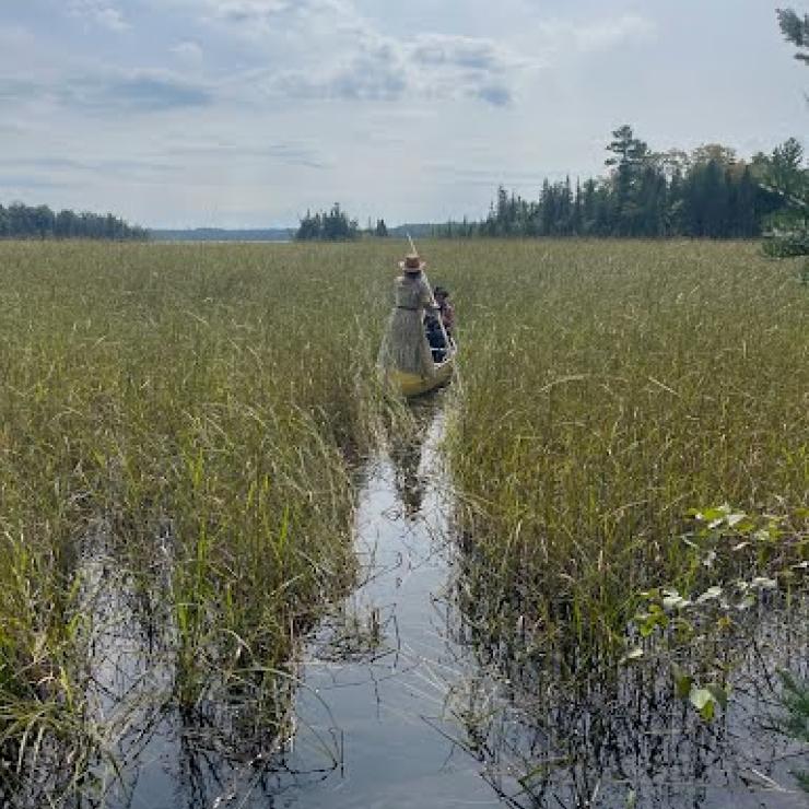 The author and her daughter in a canoe harvesting manoomin (wild rice)