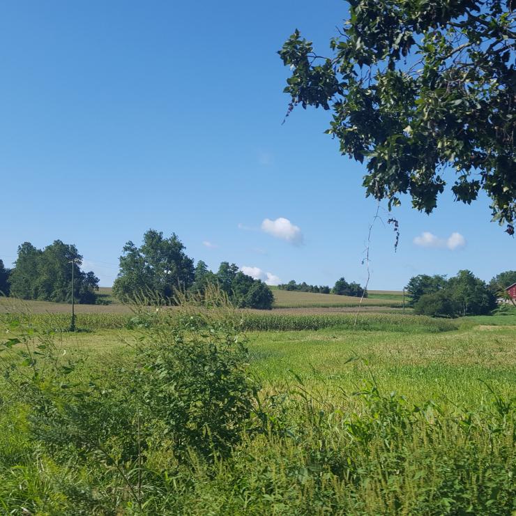 A farm in Central Maryland