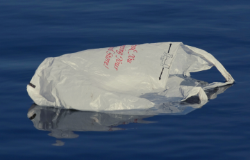 Plastic bag floating on water