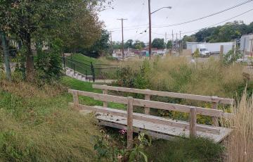 PA_Photo of Negley Run_Clean Water Action_by Madeline Weiss.jpg