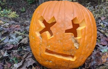 A carved pumpkin sits in fall leaves.