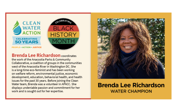 Clean Water Action Black History Champion: Brenda Lee Richards