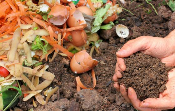 Maryland Composting