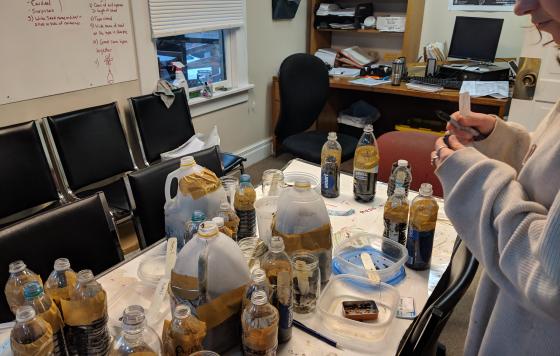 Milk and water containers filled with soil, planted seeds, and taped closed on a table.