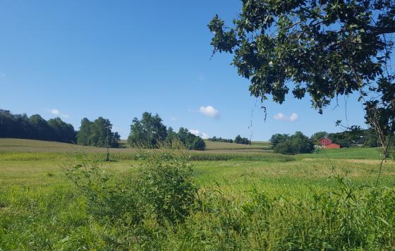 A farm in Central Maryland